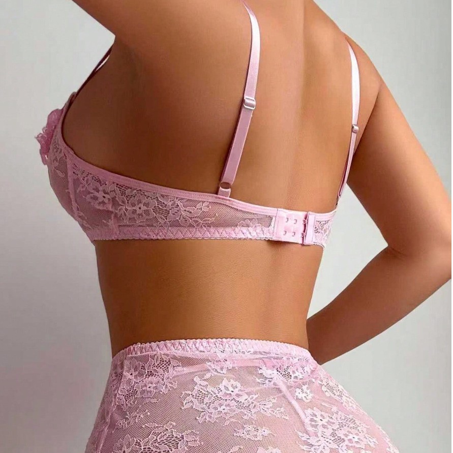 Sexy Lingerie See-through Bra  - Sheer Mesh Bra 评论和价格